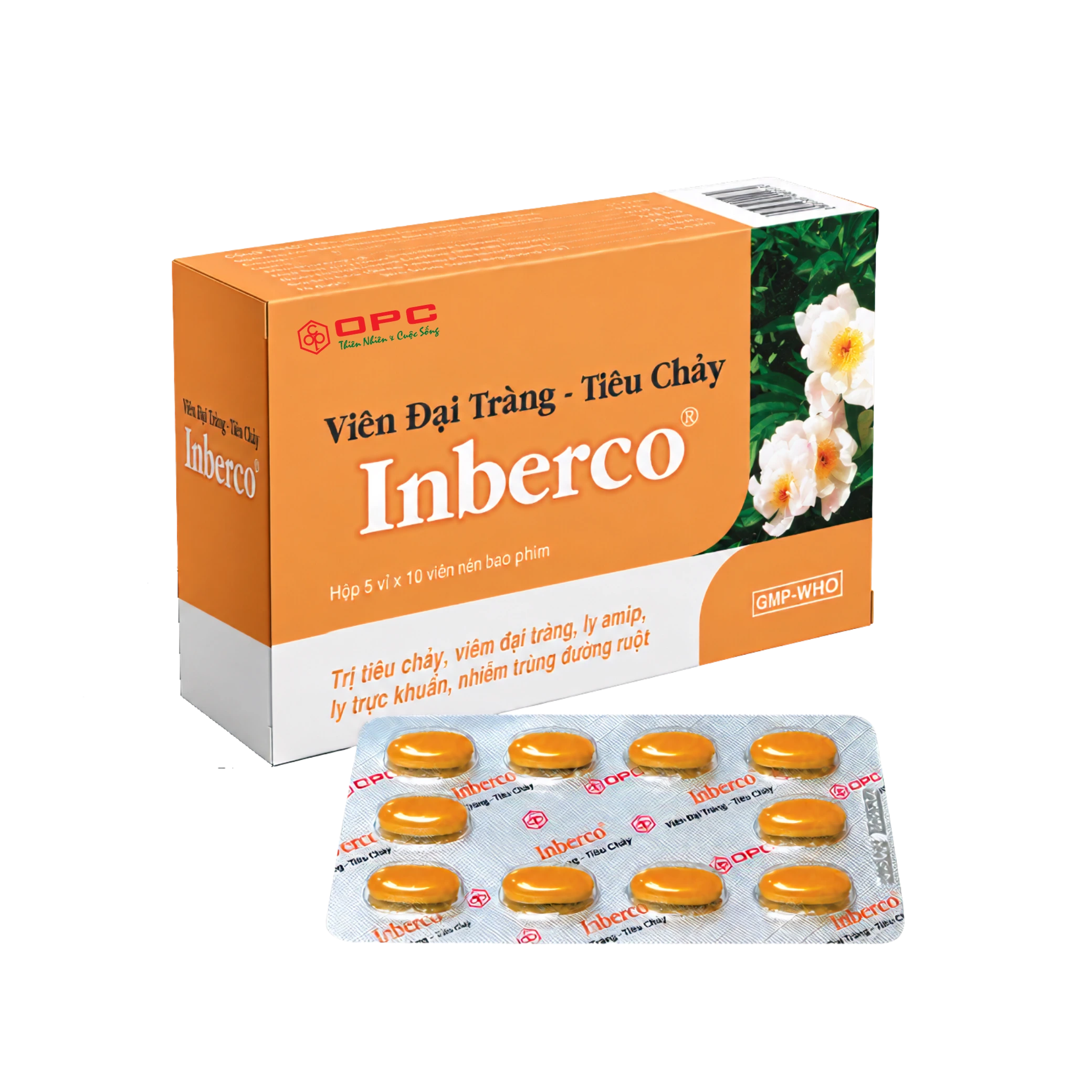 VIÊN ĐẠI TRÀNG TIÊU CHẢY INBERCO VIÊN ĐẠI TRÀNG TIÊU CHẢY INBERCO