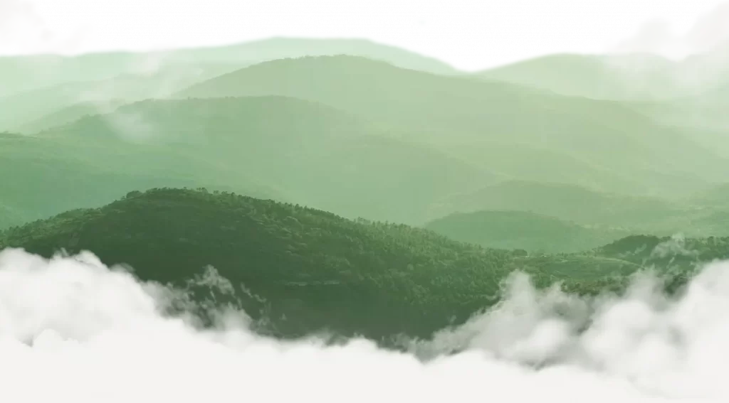 banner 4