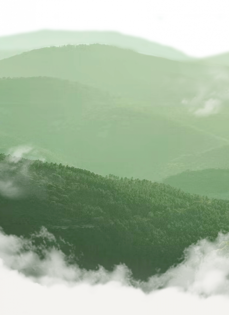 banner 4 MOBILE