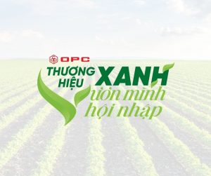 thương hiệu xanh vươn mình hội nhập