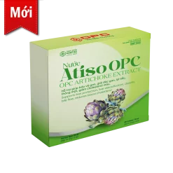 Nước uống Atiso