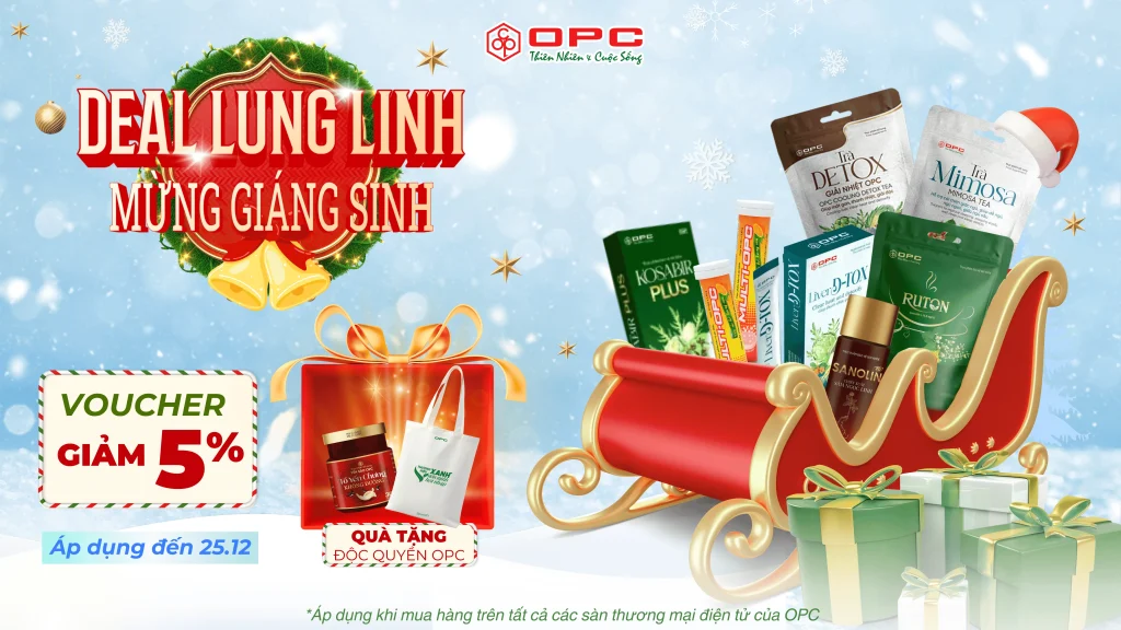 banner noel web (1) (1)